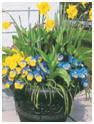Small-Space Gardening Guides