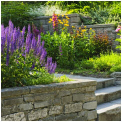 Free DIY Garden and Landscape Improvement Guides and Project Plans