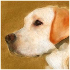 Today's Free Painting Lessons, Demonstrations, Tips and Techniques: Acrylic Pet and Animal Portraits
