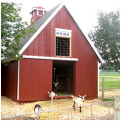 Free Small Barn Plans