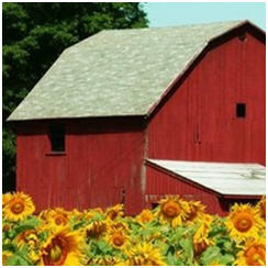 117 Free Barn Plans, Outbuilding Plans, Farm Barn Designs, DIY Projects and Building Guides