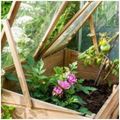 Build Your Own Coldframes or Small Greenhouse - Download Free Plans