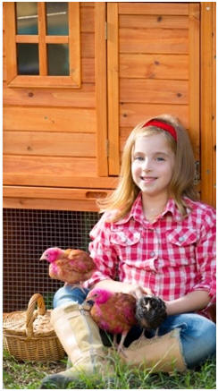Raise Chickens for Fresh Eggs Every Day - Click to find a huge assortment of chicken coop designs with free building plans to get started.