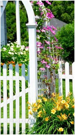 Share Free Arbor, Trellis, Pergola and Gazebo Plans - Here's a bunch of free, online, DIY project plans for building your own beautiful garden structures.
