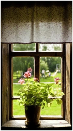 Share Free Apartment Gardening Guides - Learn how to create a beautiful and bountiful garden in an apartment with the help of free, online advice, ideas and tips.