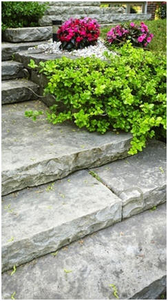 Create Curb Appeal - Build walks, steps, planters, fences and more to improve your yard and garden. Click to find and print free landscape project plans and do-it-yourself guides.