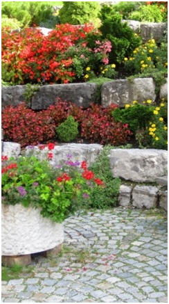 Improve Your Yard - Share hundreds of free, do it yourself landscape guides and project plans.