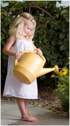 Ban Harmful Chemicals From Your Garden - Learn how to grow flowers, plants, vegetables, fruit and herbs organically. Click for free guides and how-to tips.