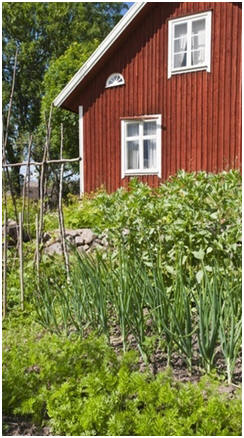 Grow a Kitchen Garden - Have tasty, healthy fresh vegetables, fruit and herbs with the help of free ebooks,  gardening guides and helpful how-to hints. 