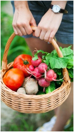 Grow the Best Vegetables!   Learn how with the help of free guides, free ebooks and free how-to tips from green-thumb gardeners.