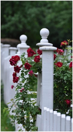 Add Curb Appeal - Learn how to improve your yard with a new fence, walk, planter bed, gazebo and more. Click to print any and all of free, do it yourself landscape project plans.