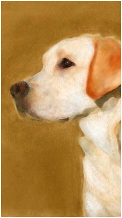 Create Pet Portraits - Amaze yourself, your family and your friends with beautiful paintings of pets. Just click on Buddy to find and follow dozens of free, online tutorials that will show you how.